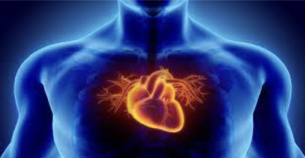 Incorporating olive oil into your diet can significantly benefit your heart health. Olive oil is rich in monounsaturated fats, which are considered healthy fats. These fats have been shown to help lower levels of LDL cholesterol, often referred to as "bad" cholesterol. By reducing LDL cholesterol, olive oil helps to decrease the risk of heart disease and other cardiovascular conditions. Additionally, olive oil contains oleic acid, a type of monounsaturated fat that has been linked to improved heart health.